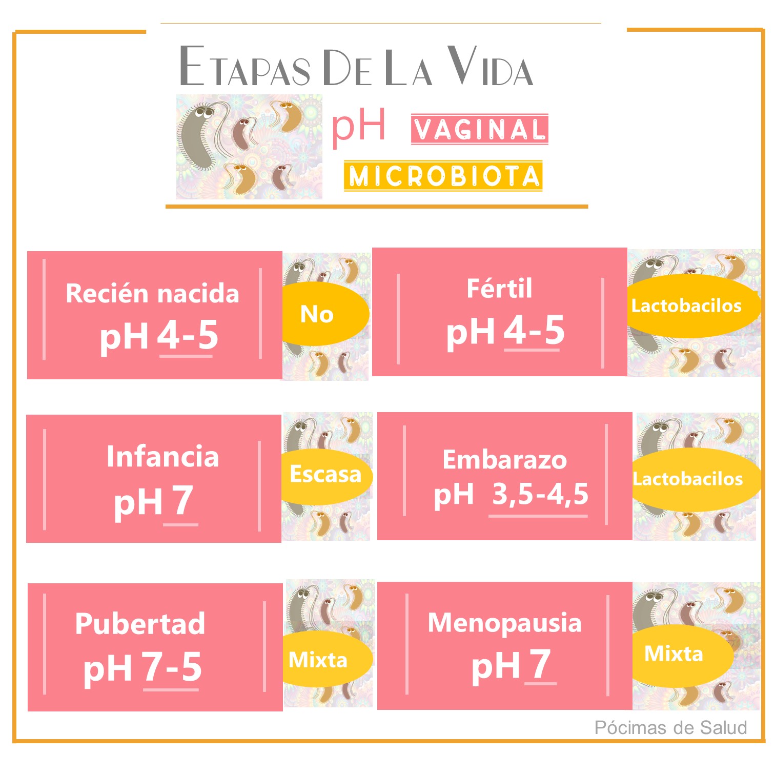 Etapas-vida-ph-vaginal-microbiota