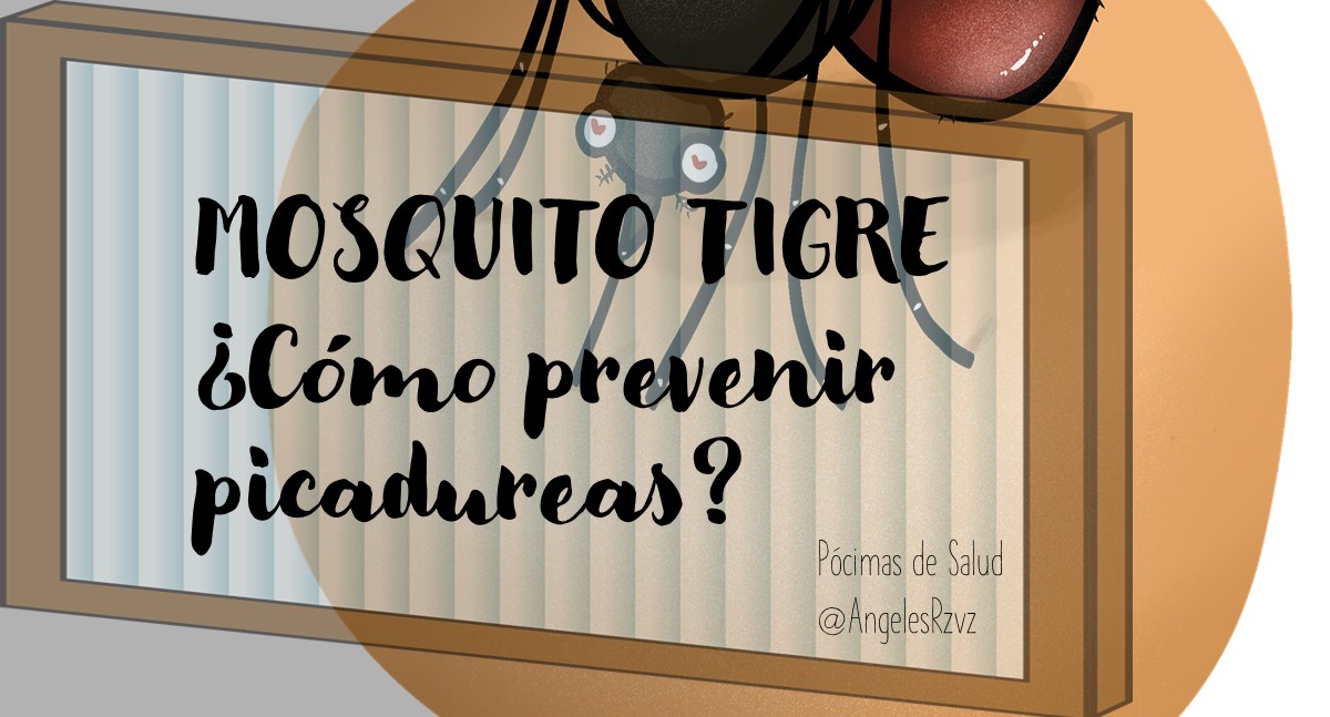mosquito tigre como prevenir picaduras