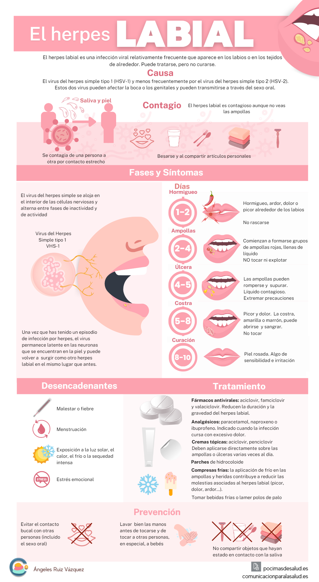nfografía completa del herpes labial: qué es, cómo se contagia, fases y síntomas, factores desencadenantes, tratamiento y prevención