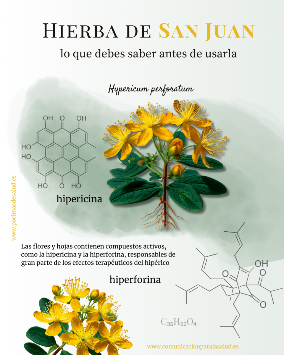 Infografía botánica de la Hierba de San Juan (hipérico), mostrando la planta con flores amarillas y las fórmulas químicas de la hipericina y la hiperforina, sus principales compuestos activos.