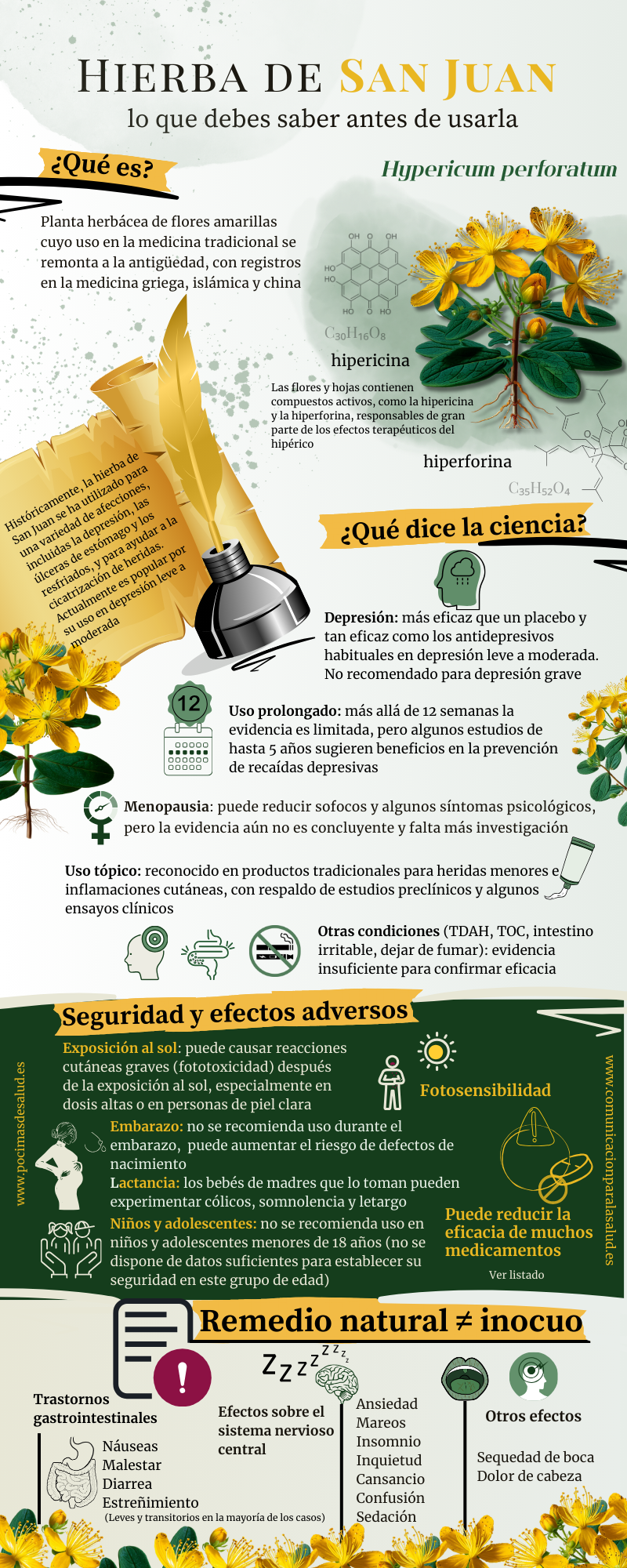 Infografía educativa sobre la Hierba de San Juan (hipérico). Explica qué es, su historia de uso, principios activos principales, evidencia científica para la depresión y otros usos, efectos secundarios y advertencias de seguridad, incluyendo fotosensibilidad, riesgos en embarazo y lactancia, y la importancia de consultar con un profesional de la salud antes de tomarla.
