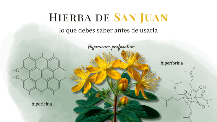 Portada blog hipérico. Hierba de San Juan efectos secundarios e interacciones